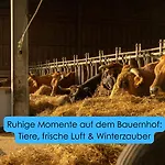 Gemuetlicher Camper Fusslaeufig Zur Therme