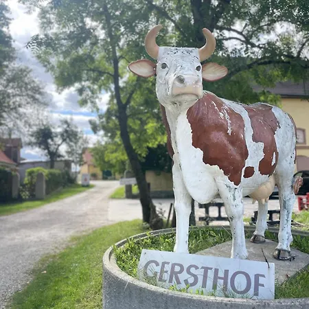 Apartment Gemuetlicher Camper Fusslaeufig Zur Therme